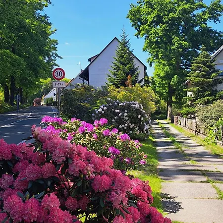 Zentrale Lage Parkplatz Kostenlos Grill Terrasse Fahrradraum Kromlau