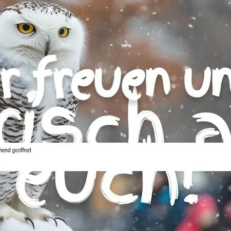 Appartement Zentrale Lage Parkplatz Kostenlos Grill Terrasse Fahrradraum Kromlau