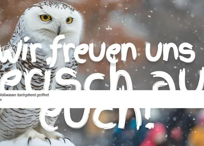 Apartment Zentrale Lage Parkplatz Kostenlos Grill Terrasse Fahrradraum Kromlau